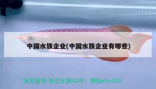 中國(guó)水族企業(yè)(中國(guó)水族企業(yè)有哪些) 2024第28屆中國(guó)國(guó)際寵物水族展覽會(huì)CIPS（長(zhǎng)城寵物展2024 CIPS）