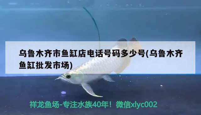 烏魯木齊市魚缸店電話號碼多少號(烏魯木齊魚缸批發(fā)市場) 綠皮辣椒小紅龍