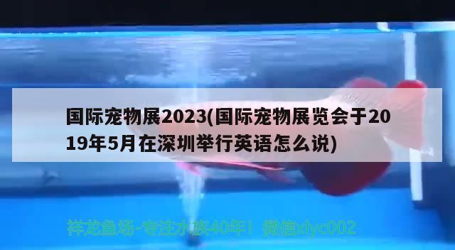 國際寵物展2023(國際寵物展覽會于2019年5月在深圳舉行英語怎么說)