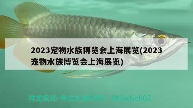 2023寵物水族博覽會(huì)上海展覽(2023寵物水族博覽會(huì)上海展覽) 2024第28屆中國國際寵物水族展覽會(huì)CIPS（長城寵物展2024 CIPS）