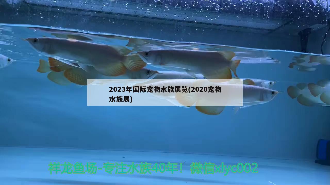 2023年國際寵物水族展覽(2020寵物水族展) 水族展會