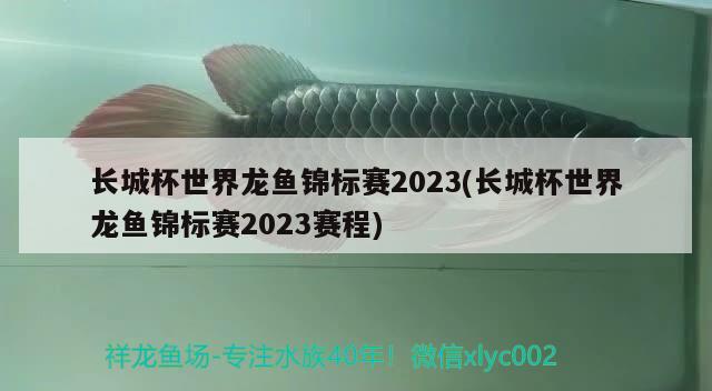 長城杯世界龍魚錦標(biāo)賽2023(長城杯世界龍魚錦標(biāo)賽2023賽程) 2024第28屆中國國際寵物水族展覽會CIPS（長城寵物展2024 CIPS）