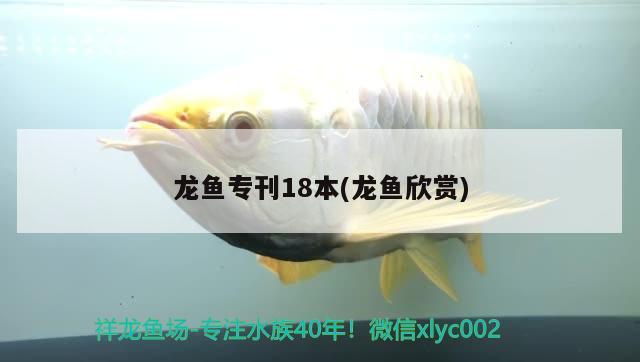 龍魚?？?8本(龍魚欣賞) 2025第29屆中國國際寵物水族展覽會CIPS（長城寵物展2025 CIPS）