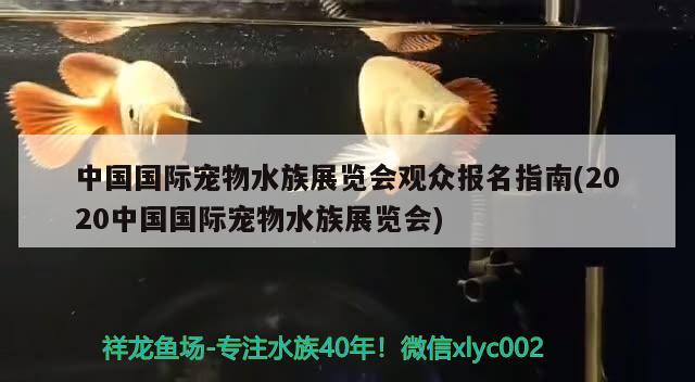 中國(guó)國(guó)際寵物水族展覽會(huì)觀眾報(bào)名指南(2020中國(guó)國(guó)際寵物水族展覽會(huì)) 水族展會(huì)