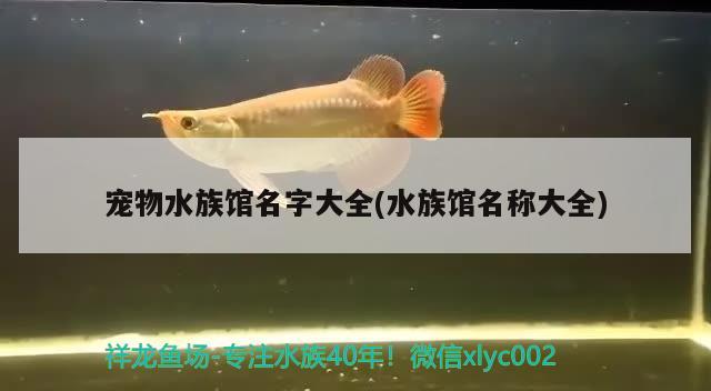 寵物水族館名字大全(水族館名稱大全) 2024第28屆中國國際寵物水族展覽會CIPS（長城寵物展2024 CIPS）