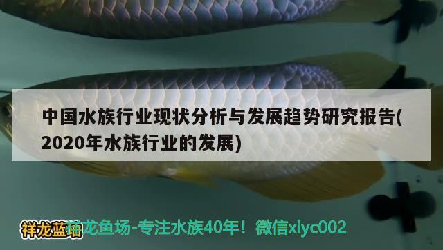 中國水族行業(yè)現(xiàn)狀分析與發(fā)展趨勢研究報(bào)告(2020年水族行業(yè)的發(fā)展) 2024第28屆中國國際寵物水族展覽會(huì)CIPS（長城寵物展2024 CIPS）