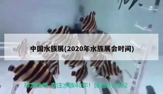 中國水族展(2020年水族展會時間)