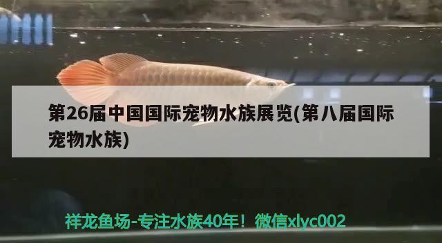 第26屆中國國際寵物水族展覽(第八屆國際寵物水族)