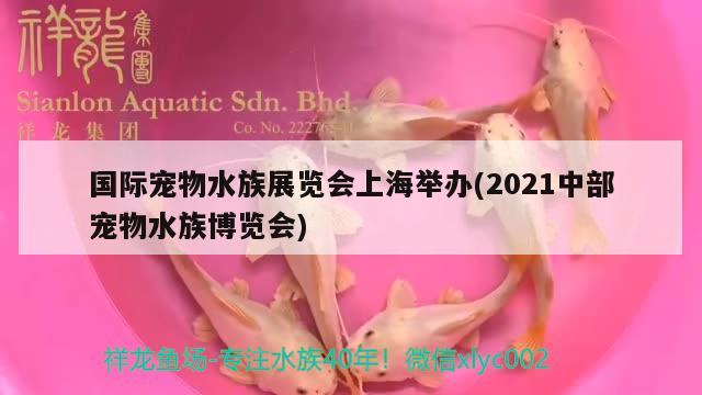 國(guó)際寵物水族展覽會(huì)上海舉辦(2021中部寵物水族博覽會(huì)) 水族展會(huì) 第3張