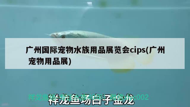 廣州國(guó)際寵物水族用品展覽會(huì)cips(廣州寵物用品展)