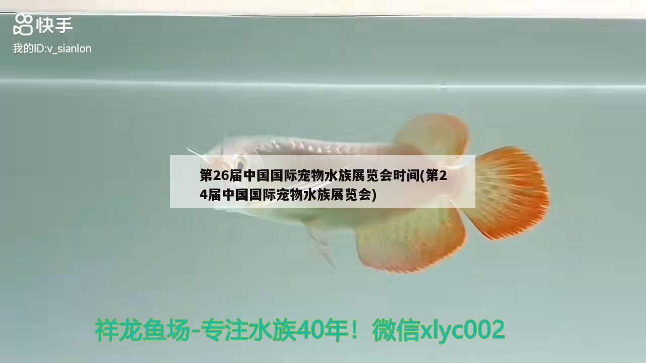 第26屆中國(guó)國(guó)際寵物水族展覽會(huì)時(shí)間(第24屆中國(guó)國(guó)際寵物水族展覽會(huì))