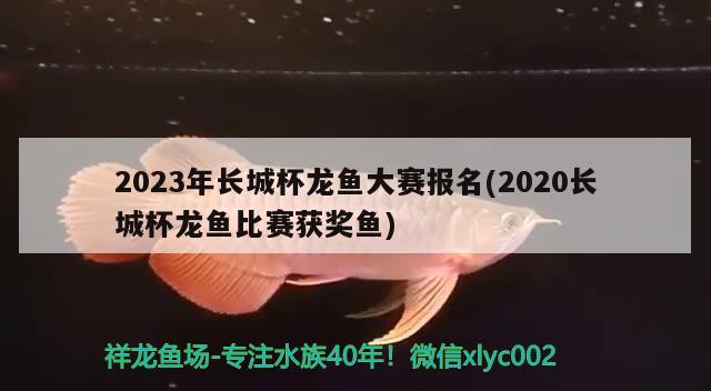 2023年長(zhǎng)城杯龍魚(yú)大賽報(bào)名(2020長(zhǎng)城杯龍魚(yú)比賽獲獎(jiǎng)魚(yú)) 2024第28屆中國(guó)國(guó)際寵物水族展覽會(huì)CIPS（長(zhǎng)城寵物展2024 CIPS）