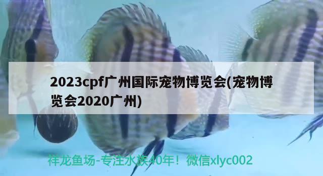 2023cpf廣州國際寵物博覽會(huì)(寵物博覽會(huì)2020廣州)