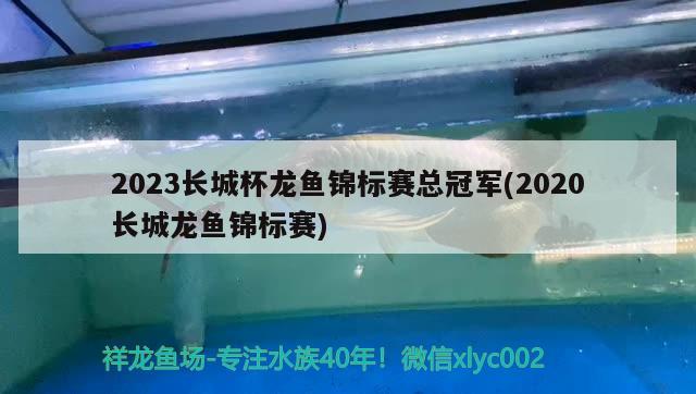 2023長城杯龍魚錦標(biāo)賽總冠軍(2020長城龍魚錦標(biāo)賽) 2024第28屆中國國際寵物水族展覽會(huì)CIPS（長城寵物展2024 CIPS）