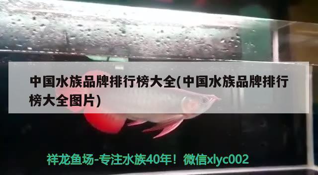 中國水族品牌排行榜大全(中國水族品牌排行榜大全圖片)