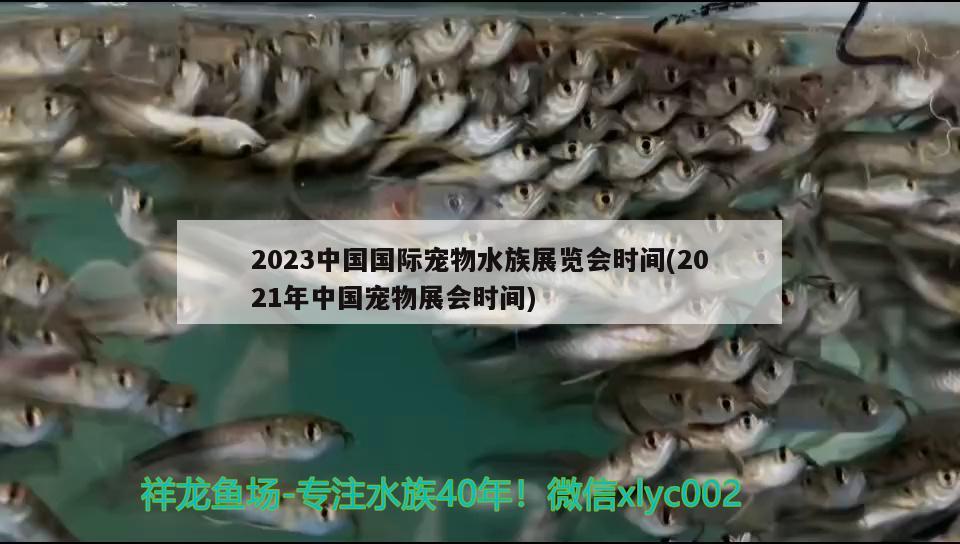 2023中國國際寵物水族展覽會時間(2021年中國寵物展會時間)