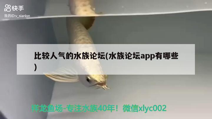 比較人氣的水族論壇(水族論壇app有哪些)