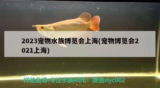 2023寵物水族博覽會上海(寵物博覽會2021上海) 2024第28屆中國國際寵物水族展覽會CIPS（長城寵物展2024 CIPS）