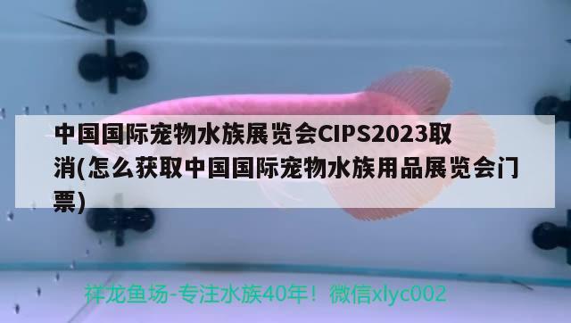 中國國際寵物水族展覽會CIPS2023取消(怎么獲取中國國際寵物水族用品展覽會門票)