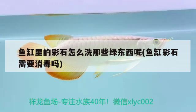 魚(yú)缸里的彩石怎么洗那些綠東西呢(魚(yú)缸彩石需要消毒嗎)