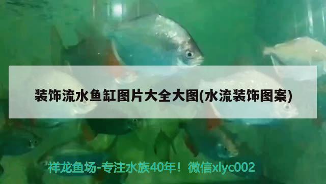 裝飾流水魚缸圖片大全大圖(水流裝飾圖案) 黃鰭鯧魚