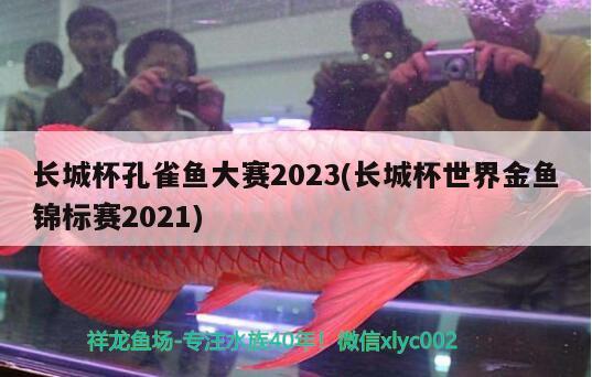 長城杯孔雀魚大賽2023(長城杯世界金魚錦標(biāo)賽2021)