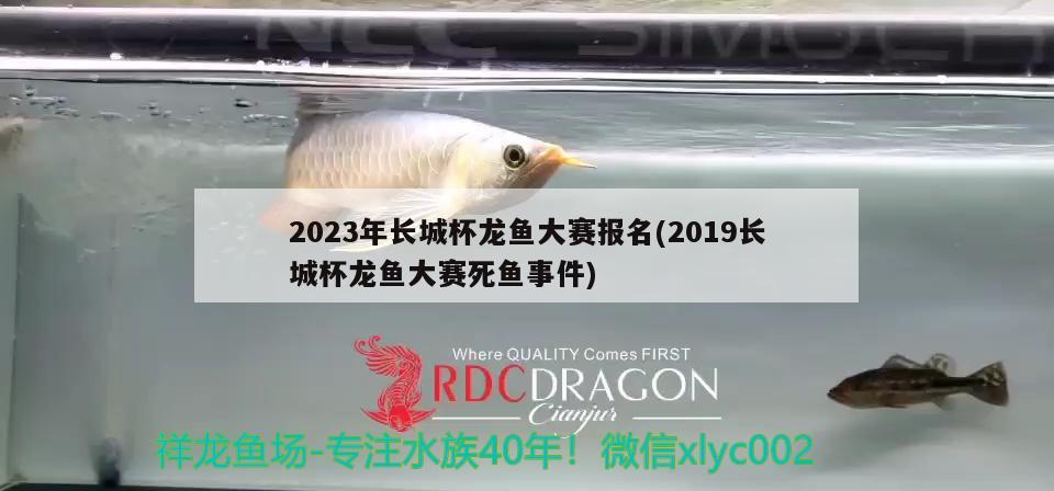 2023年長(zhǎng)城杯龍魚大賽報(bào)名(2019長(zhǎng)城杯龍魚大賽死魚事件) 2024第28屆中國(guó)國(guó)際寵物水族展覽會(huì)CIPS（長(zhǎng)城寵物展2024 CIPS）