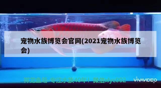 寵物水族博覽會官網(wǎng)(2021寵物水族博覽會) 2024第28屆中國國際寵物水族展覽會CIPS（長城寵物展2024 CIPS）