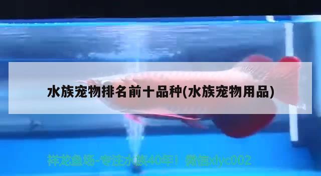 水族寵物排名前十品種(水族寵物用品) 2024第28屆中國(guó)國(guó)際寵物水族展覽會(huì)CIPS（長(zhǎng)城寵物展2024 CIPS）