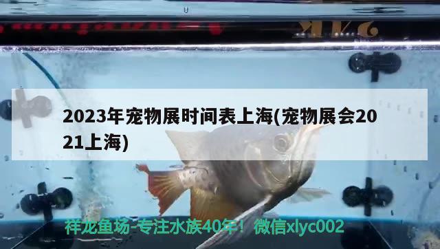 2023年寵物展時(shí)間表上海(寵物展會(huì)2021上海)