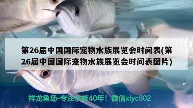 第26屆中國國際寵物水族展覽會時間表(第26屆中國國際寵物水族展覽會時間表圖片) 水族展會 第2張