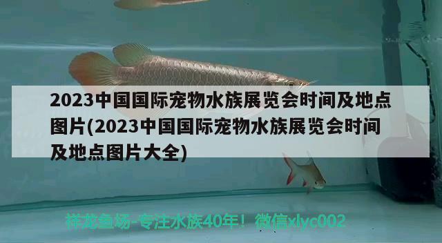 2023中國國際寵物水族展覽會(huì)時(shí)間及地點(diǎn)圖片(2023中國國際寵物水族展覽會(huì)時(shí)間及地點(diǎn)圖片大全)