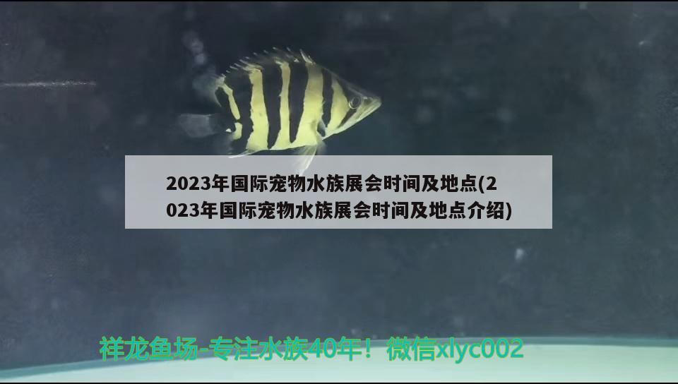 2023年國際寵物水族展會時間及地點(2023年國際寵物水族展會時間及地點介紹)