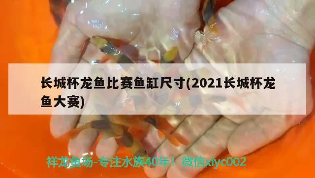 長城杯龍魚比賽魚缸尺寸(2021長城杯龍魚大賽)