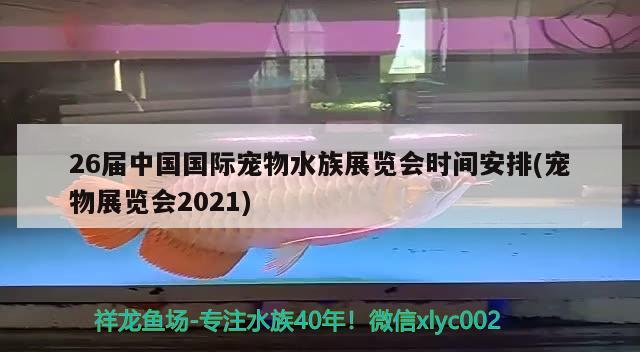 26屆中國(guó)國(guó)際寵物水族展覽會(huì)時(shí)間安排(寵物展覽會(huì)2021)