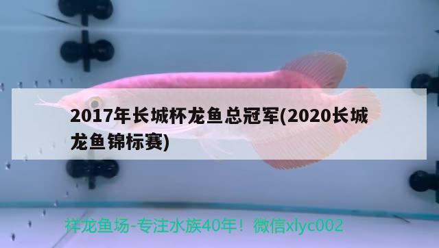 2017年長城杯龍魚總冠軍(2020長城龍魚錦標(biāo)賽) 2024第28屆中國國際寵物水族展覽會CIPS（長城寵物展2024 CIPS）