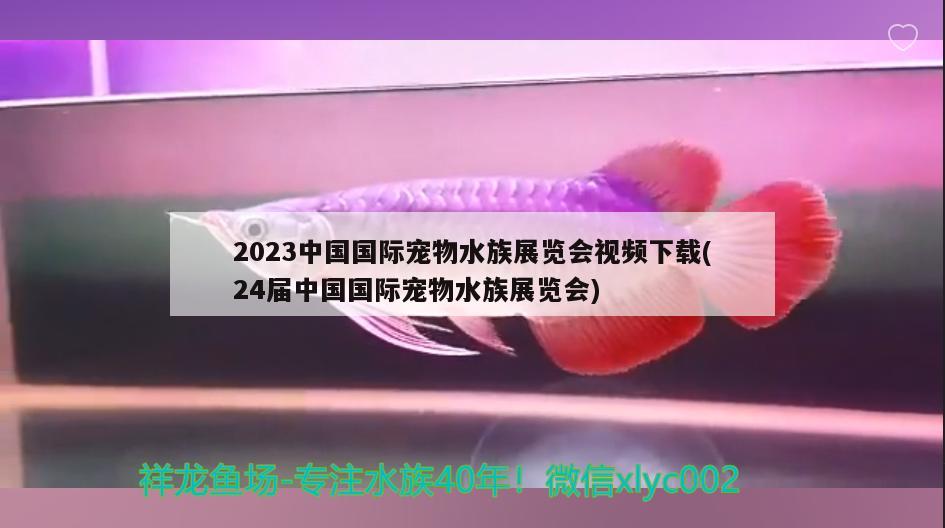 2023中國國際寵物水族展覽會視頻下載(24屆中國國際寵物水族展覽會)