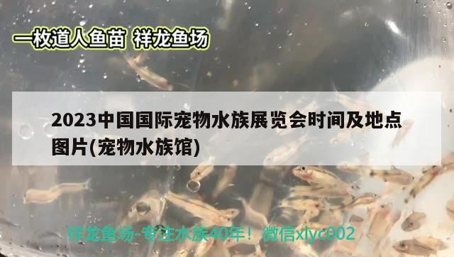 2023中國國際寵物水族展覽會(huì)時(shí)間及地點(diǎn)圖片(寵物水族館)