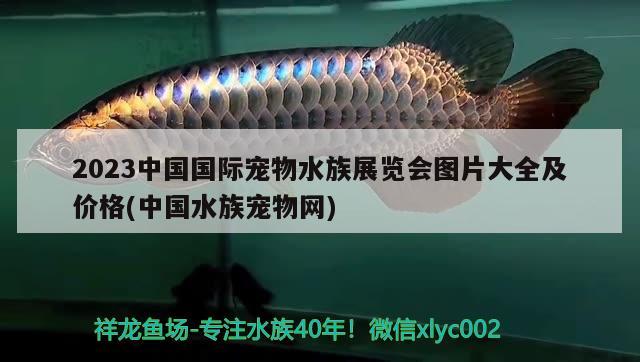 2023中國(guó)國(guó)際寵物水族展覽會(huì)圖片大全及價(jià)格(中國(guó)水族寵物網(wǎng))