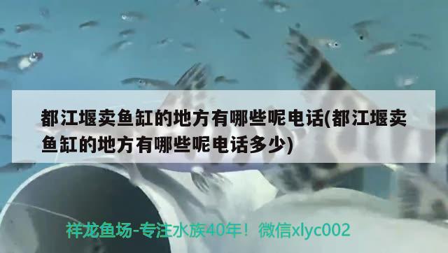 都江堰賣魚缸的地方有哪些呢電話(都江堰賣魚缸的地方有哪些呢電話多少)