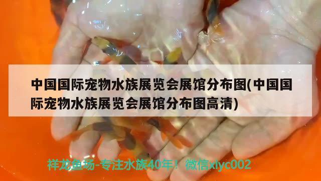 中國國際寵物水族展覽會(huì)展館分布圖(中國國際寵物水族展覽會(huì)展館分布圖高清) 水族展會(huì)