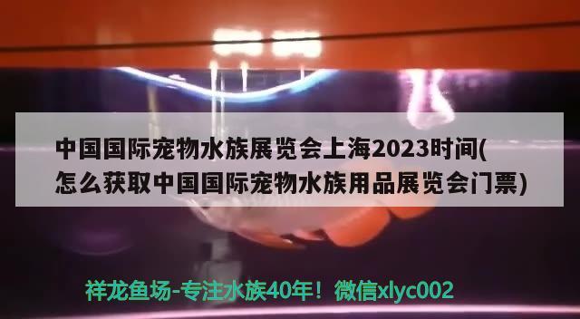 中國(guó)國(guó)際寵物水族展覽會(huì)上海2023時(shí)間(怎么獲取中國(guó)國(guó)際寵物水族用品展覽會(huì)門票) 水族展會(huì)