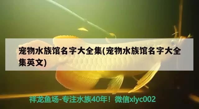 寵物水族館名字大全集(寵物水族館名字大全集英文) 2024第28屆中國國際寵物水族展覽會CIPS（長城寵物展2024 CIPS）