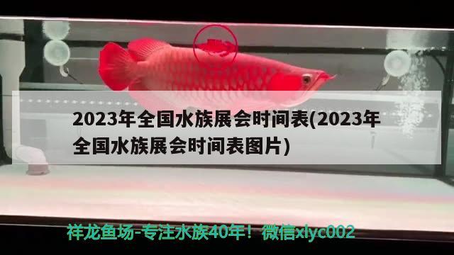 2023年全國水族展會時間表(2023年全國水族展會時間表圖片) 水族展會 第2張