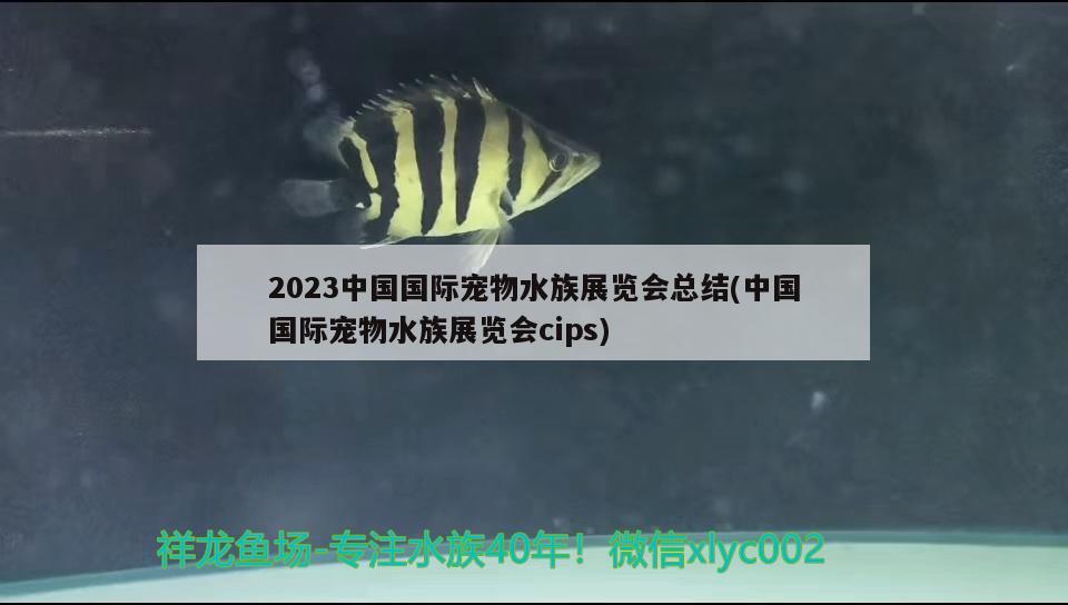 2023中國(guó)國(guó)際寵物水族展覽會(huì)總結(jié)(中國(guó)國(guó)際寵物水族展覽會(huì)cips) 水族展會(huì)