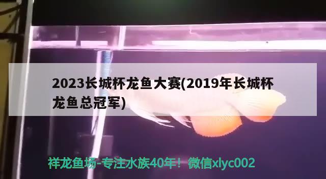 2023長城杯龍魚大賽(2019年長城杯龍魚總冠軍)