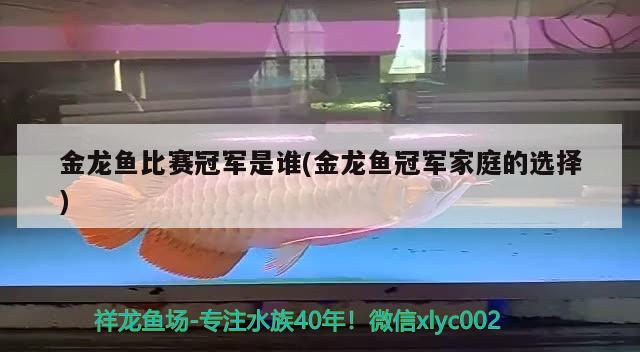 金龍魚(yú)比賽冠軍是誰(shuí)(金龍魚(yú)冠軍家庭的選擇) 2024第28屆中國(guó)國(guó)際寵物水族展覽會(huì)CIPS（長(zhǎng)城寵物展2024 CIPS）