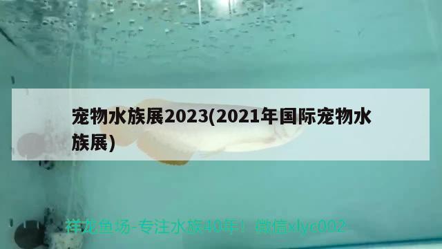 寵物水族展2023(2021年國(guó)際寵物水族展)