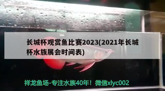 長城杯觀賞魚比賽2023(2021年長城杯水族展會(huì)時(shí)間表) 水族展會(huì)