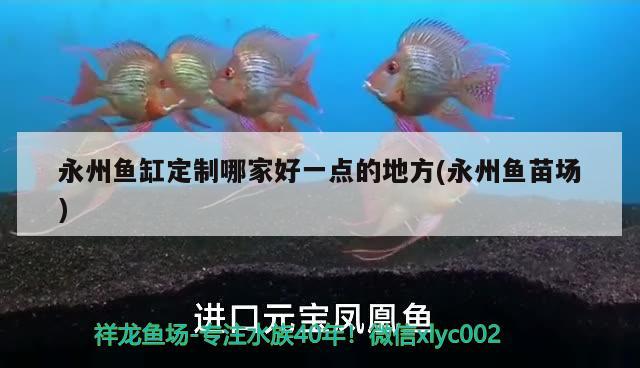 永州魚(yú)缸定制哪家好一點(diǎn)的地方(永州魚(yú)苗場(chǎng))